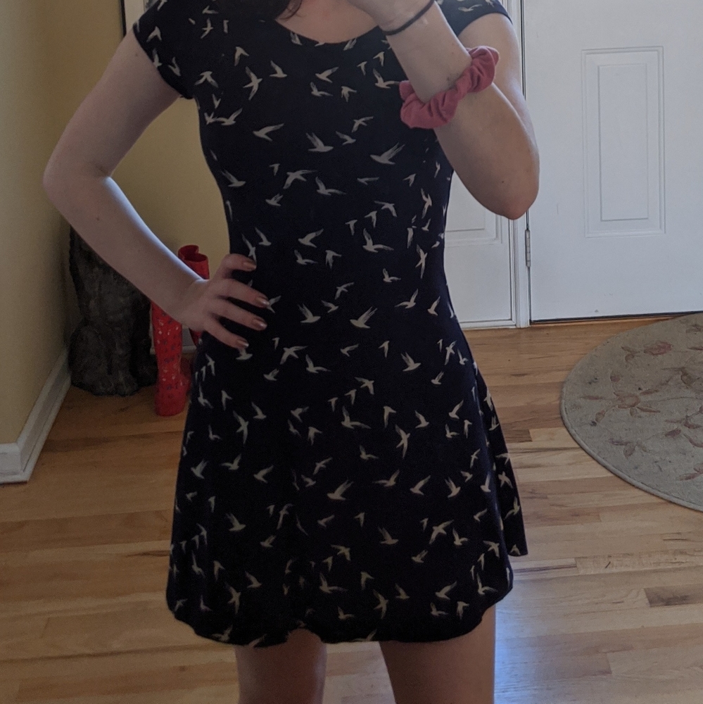 Spring/Summer Dress